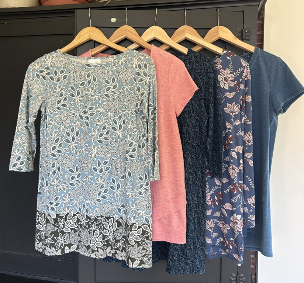 Lot of 5 J Jill Tops Floral Pink Pure Jill Blue Cotton Modal Tunic Tee XS EUC